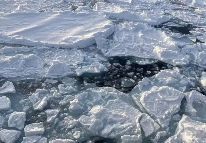 Los investigadores habían visto en análisis previos que el ritmo de pérdida del hielo del Ártico. Foto: EFE