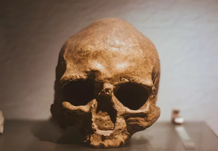Esta evidencia refuerza la importancia de la cueva de Qafzeh. Foto: Pexels