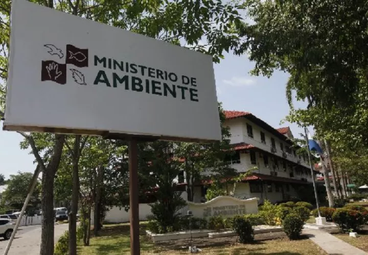 Reforestación y educación ambiental marcan el cierre del Mes de los Recursos Naturales.