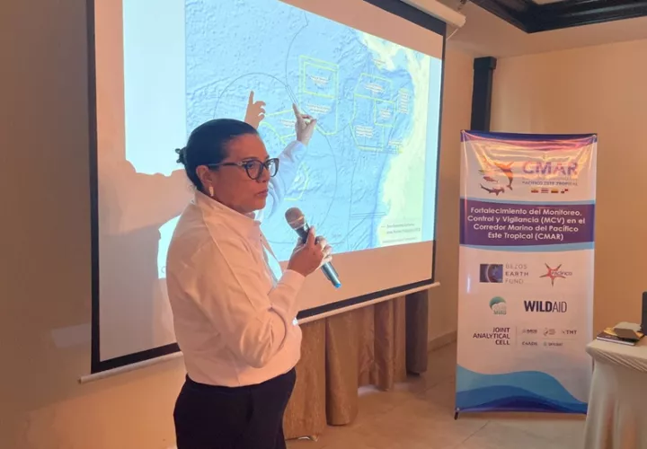 Enfrentar la pesca ilegal es un esfuerzo interinstitucional. Foto: Cortesía