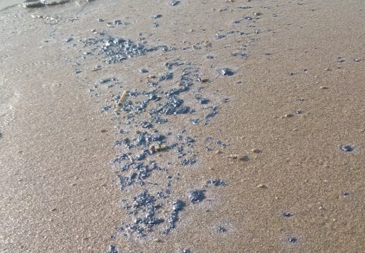 La presencia de hidrocarburos puede afectar peces, crustáceos, poliquetos y otros organismos que habitan playas y zonas rocosas.