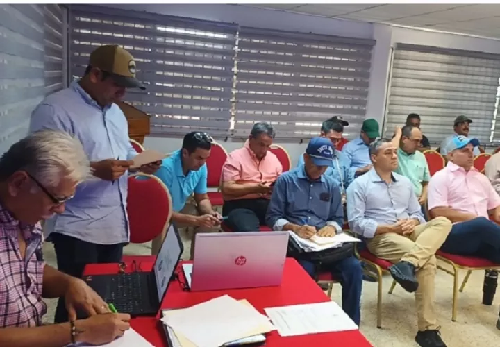 El presidente de la FENAPAR, Omar Spiegel, aseguró que en estos momentos existe suficiente grano en el país para cubrir la demanda de los consumidores, por lo que hizo un llamado a la población a mantener la tranquilidad. Foto. Melquíades Vásquez