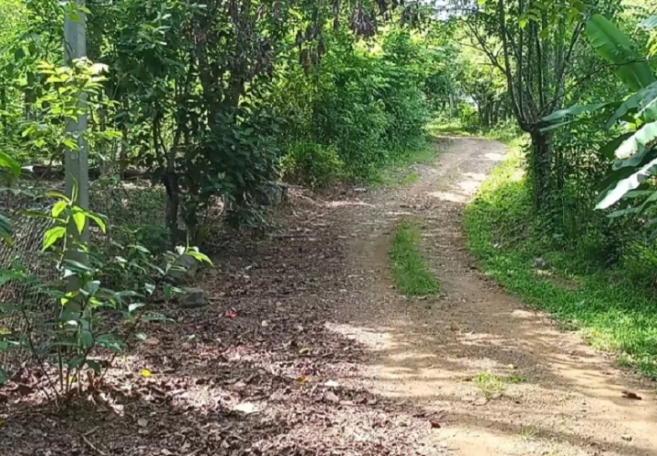 La carretera en disputa, de forma continua por más de 90 años y constituye un enlace vital para el desarrollo social y económico de toda la región. Foto. Melquíades Vásquez