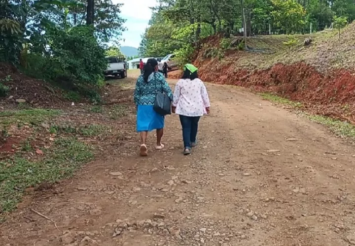 La falta de infraestructura vial dificulta el traslado de enfermos, el acceso de los estudiantes a sus escuelas y el trabajo de los productores, quienes frecuentemente pierden sus cosechas al no tener formas de transportarlas hacia los mercados. Foto. Melquíades Vásquez