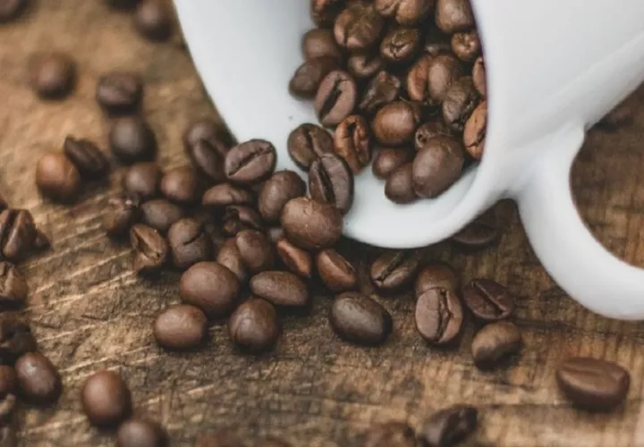 El Ritual del Origen, una experiencia inmersiva que rinde tributo a la memoria y al trabajo detrás de cada grano de café.