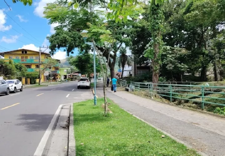 Como parte de las acciones de contingencia, la Alcaldía de Antón también tomó la decisión de suspender el Desfile de la Pollera Picarona