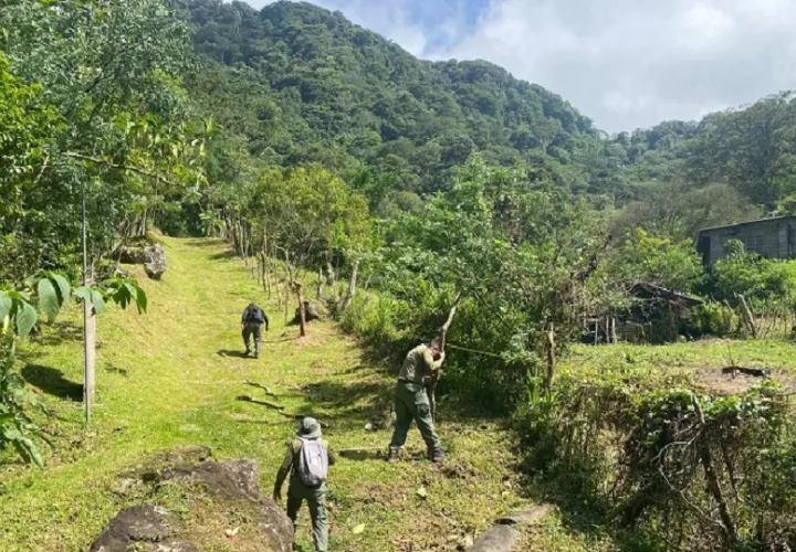 MiAmbiente aplicarán sanciones administrativas de hasta $9,999.99, sin perjuicio de entablar las denuncias correspondientes ante la Fiscalía Ambiental por delitos contra el ambiente y el ordenamiento territorial. Foto. Cortesía