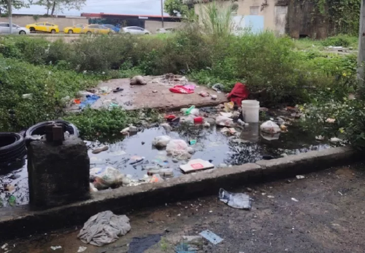 Se espera que las juntas comunales realicen trabajos de recolección de basura y limpieza en las comunidades. Foto: Diomedes Sánchez