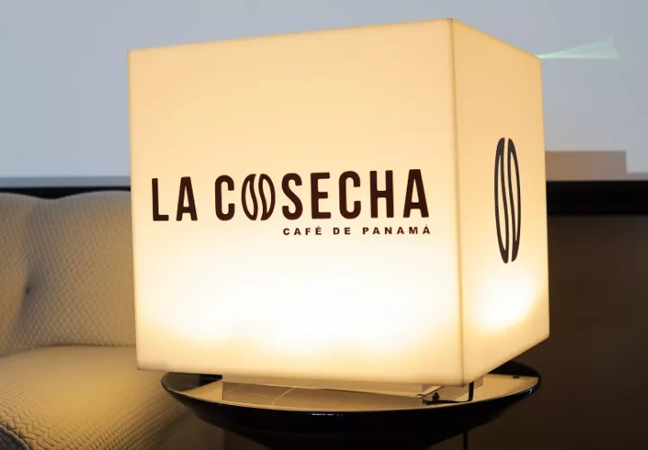 La Cosecha 2026 de café panameño como símbolo de identidad y proyección internacional.