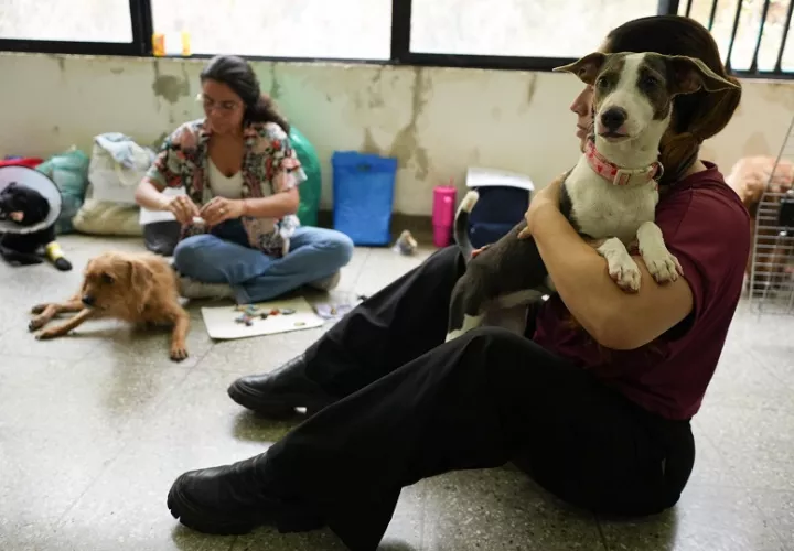 Voluntarias cuidan perros en el Centro de Bienestar Animal (CBA) de Cali. Foto EFE