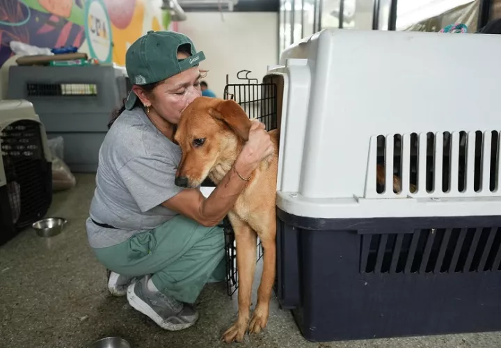 Una mujer abraza a un perro en el Centro de Bienestar Animal. Foto EFE