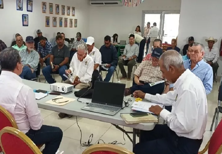 La zona de mayor vulnerabilidad se ubica en la frontera entre Panamá y Costa Rica, donde se registran más de 70 pasos clandestinos empleados para trasladar ganado hurtado. Foto. Melquíades Vásquez