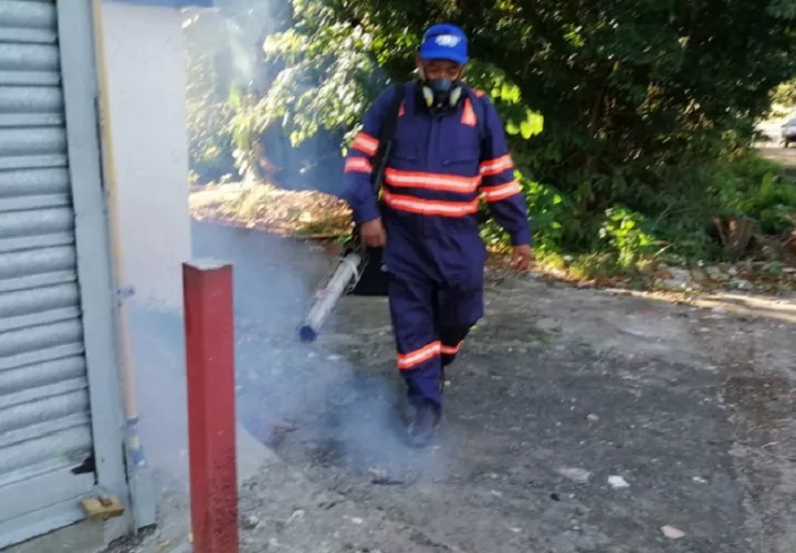 Del total de casos registrados, 6,576 corresponden a dengue sin signos de alarma, 946 presentan estos signos y 43 se clasifican como dengue grave. Foto. Eric  Montenegro