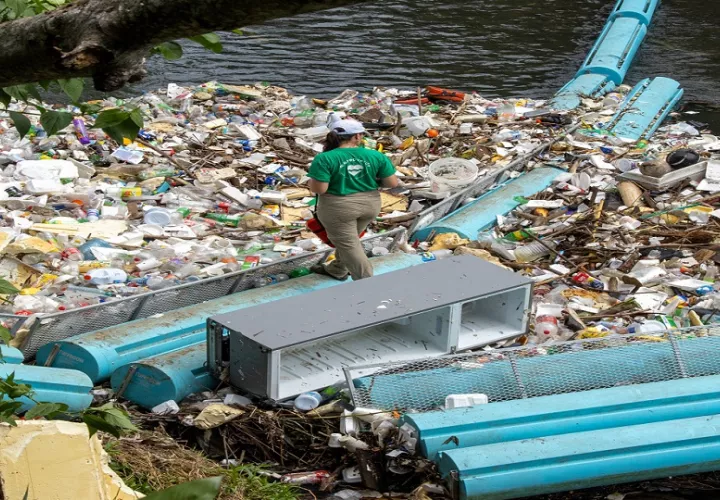 Cuatro personas trabajan en la recolección y clasificación de los desechos que recoge la barrera en el río Matías Hernández. Foto: Cortesía