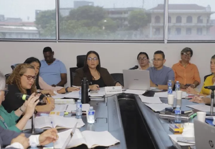 ley_adopciones_asamblea_comision_de_la_mujer.jpg