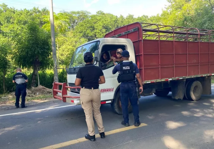 Las acciones representan un severo golpe a las estructuras delictivas que operan en la región de Azuero. Foto. Thays Domínguez