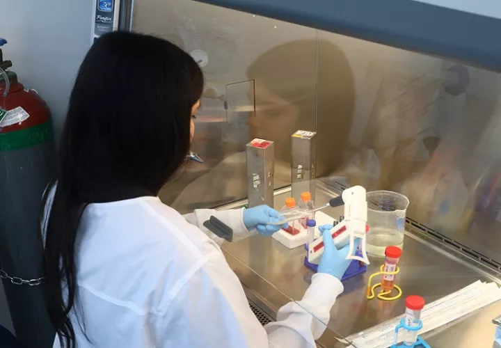 Estudiante realizando procesos de análisis en los laboratorios del Indicasat. Foto: EFE