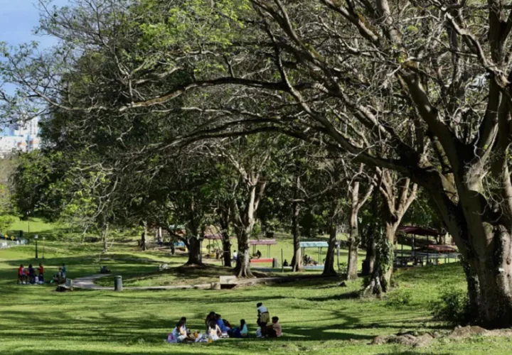 parque_omar.jpg
