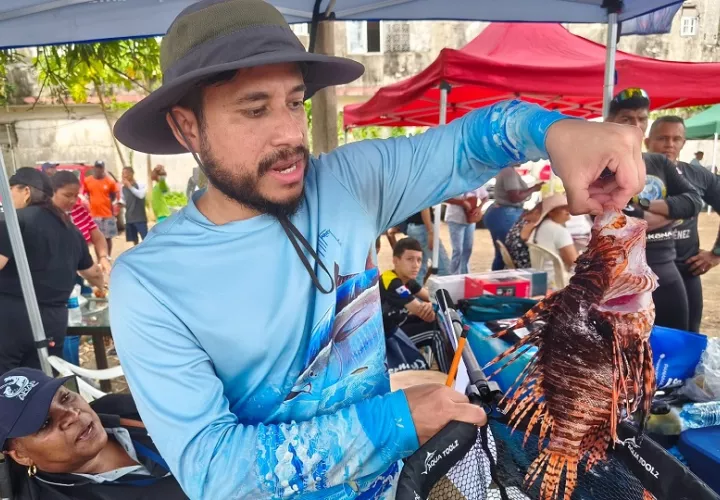 Las categorías evaluadas fueron mayor cantidad, pez más pequeño y pez más grande. Foto. Cortesía