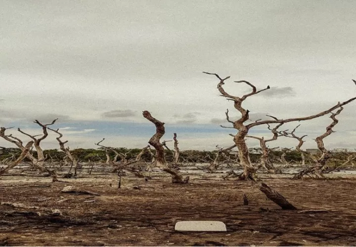 El fenómeno de El Niño se intensificará en los próximos meses, elevando el riesgo de sequías, inundaciones y olas de calor en distintas regiones del mundo.