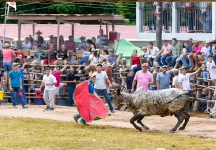 El incidente ocurrió durante una de las tradicionales actividades taurinas que forman parte de esta reconocida fiesta guarareña. Foto. Ilustrativa