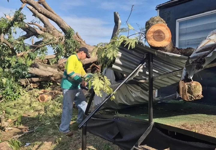 De acuerdo con Melba Montenegro, propietaria del terreno donde se encontraba el árbol, los comerciantes habían salido del lugar apenas unos 15 minutos antes del desplome. Foto. Thays Domínguez