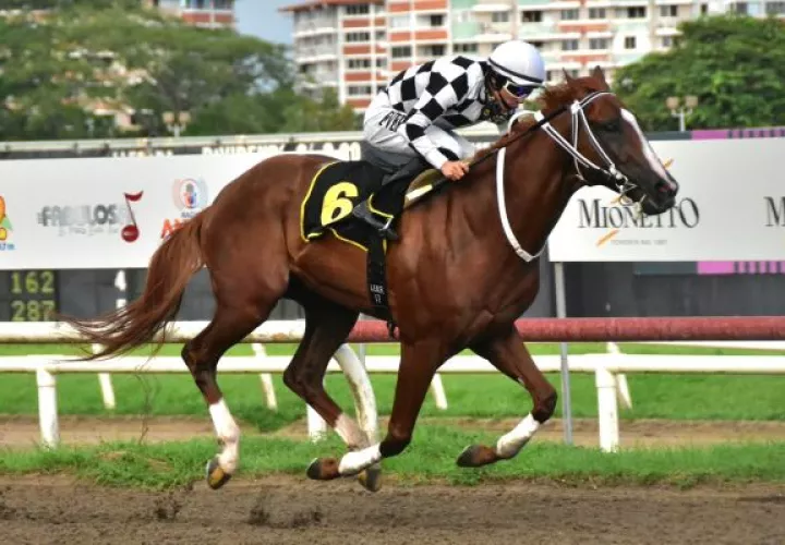  Dandy del Peligro fue superior. Fotos Boris Alberto Valdivieso