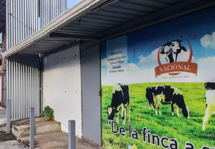 A raíz de este cierre los ganaderos se han visto obligados a trasladar sus reses hacia mataderos ubicados en la provincia de Coclé. Foto. Eric Montenegro