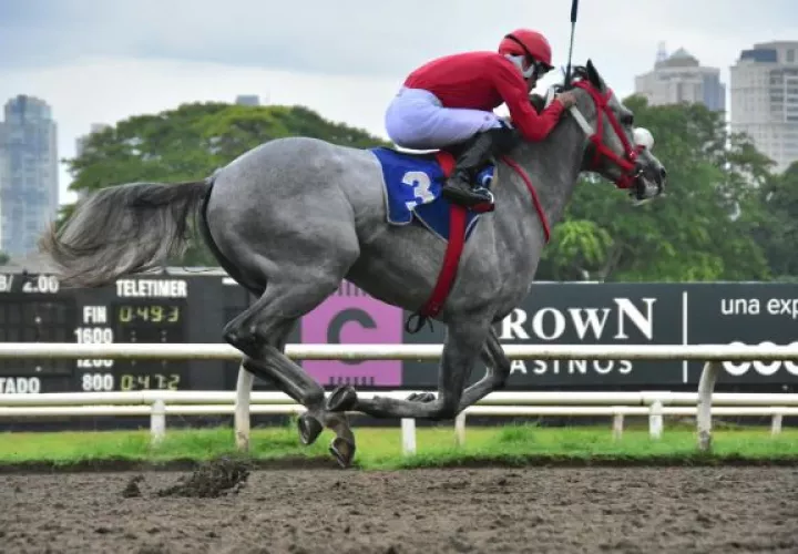 Macho Mule se impuso con autoridad. Foto: Boris Valdivieso.