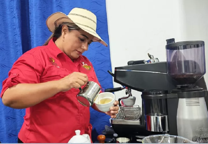 En cuanto al panorama productivo, la proyección de siembra y cosecha 2026-2027 de la Dirección de Agricultura del Ministerio de Desarrollo Agropecuario (MIDA) en la Región 5 de Capira señala una producción estimada de 11,622 quintales de café Robusta. Foto. Eric  Montenegro