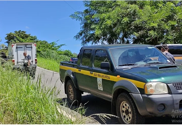 La subcomisionada añadió que, hasta el pasado sábado, las autoridades no tenían reportes oficiales de personas desaparecidas en la región. Foto. Eric Montenegro