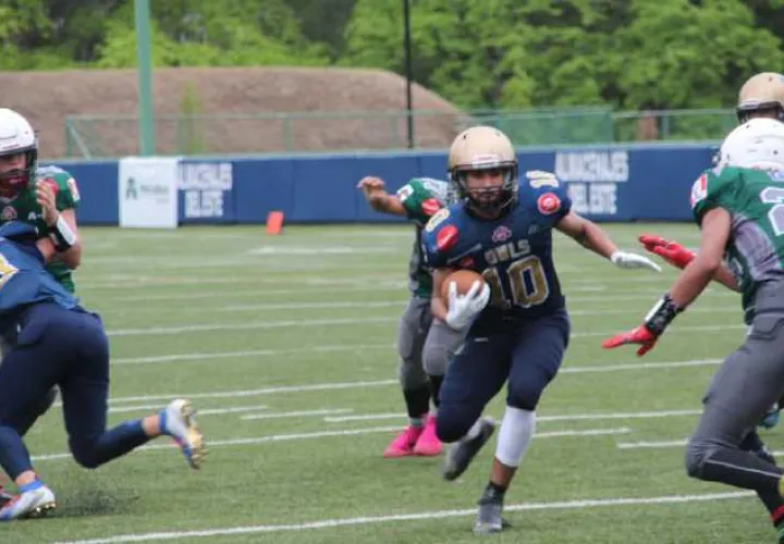 Los Fighting Owls van invictos en el  juvenil Contact Masculino. Cortesía