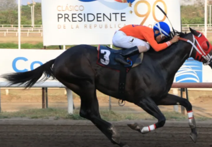 Macherano Manía hará su segundo intento en esta carrera. Cortesía