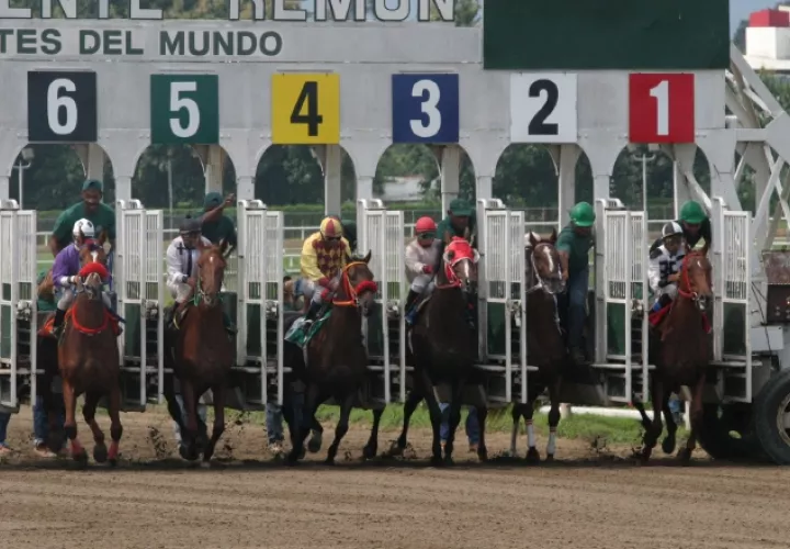 Las carreras en el hipódromo fueron suspendidas desde marzo por la pandemia. Foto:EFE