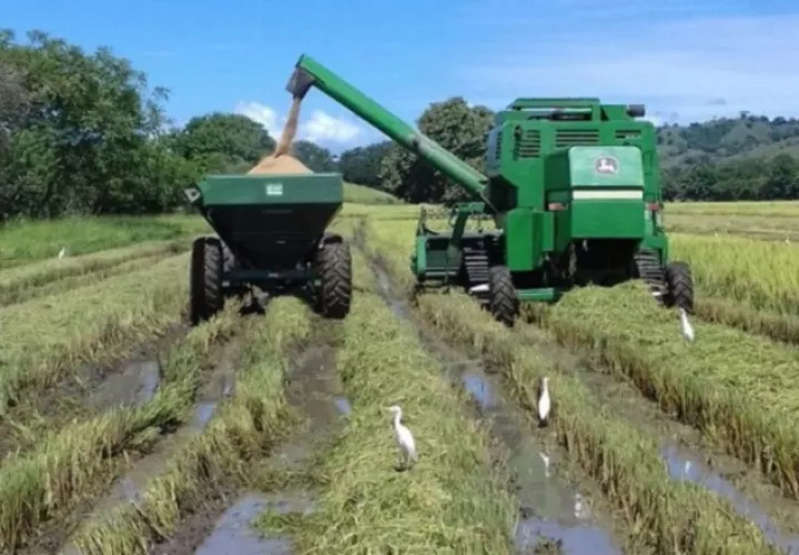 Faltan 844 agricultores. Archivo