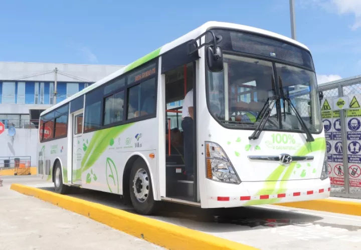 Los buses fueron adquiridos por AES. Son un poco más chicos que los metrobuses. 