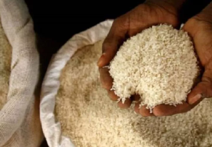 Arroz será distribuido en las ferias y tiendas permanentes del Instituto de Mercadeo Agropecuario. Archivo