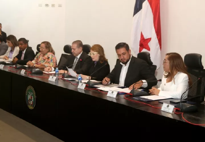 Paulette Thomas podría ser la única presidenta de Vamos en este periodo. Cortesía