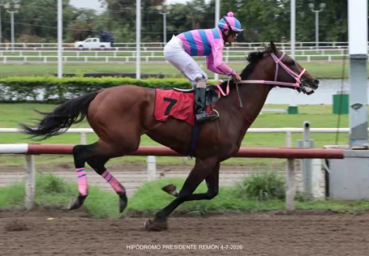 El caballo Takcorta expone su invicto en la jornada sabatina. Foto: 