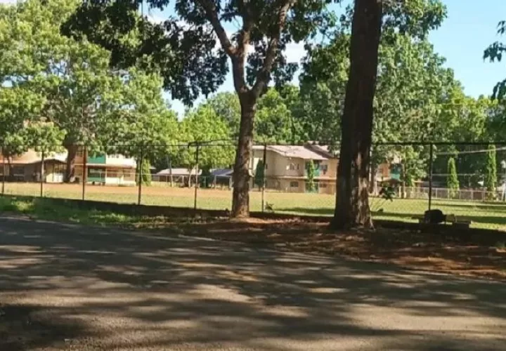 Terrenos del Instituto Nacional de Agricultura, en Divisa, Herrera. Archivo