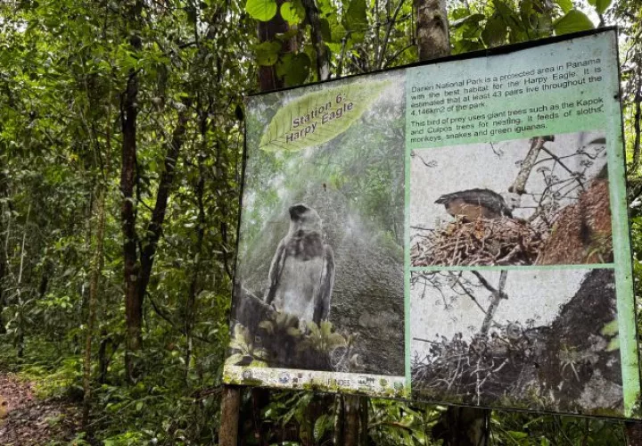 Parque Nacional de Darién, el más extenso del país.  Archivo