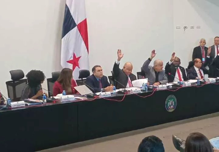 Los diputados que avalaron el proyecto fueron Julio de la Guardia, Benicio Robinson, Luis Eduardo Camacho, Raphael Buchanan, Osman Gómez y Alaín Cedeño. Pancho Paz