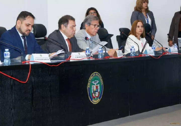 La sesión se dilató para, finalmente, prohijar un anteproyecto de la diputada Yamireliz Chong.  Cortesía