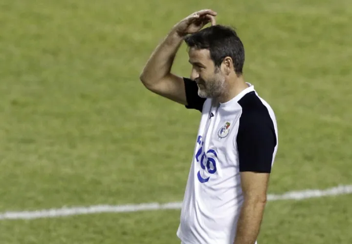 49172519.jpg