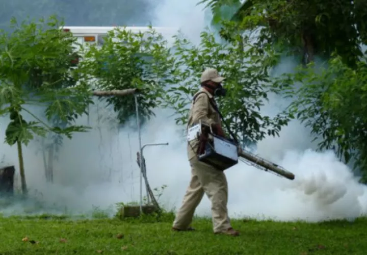La fumigación es una de las claves contra los mosquitos. Foto: Panamá América