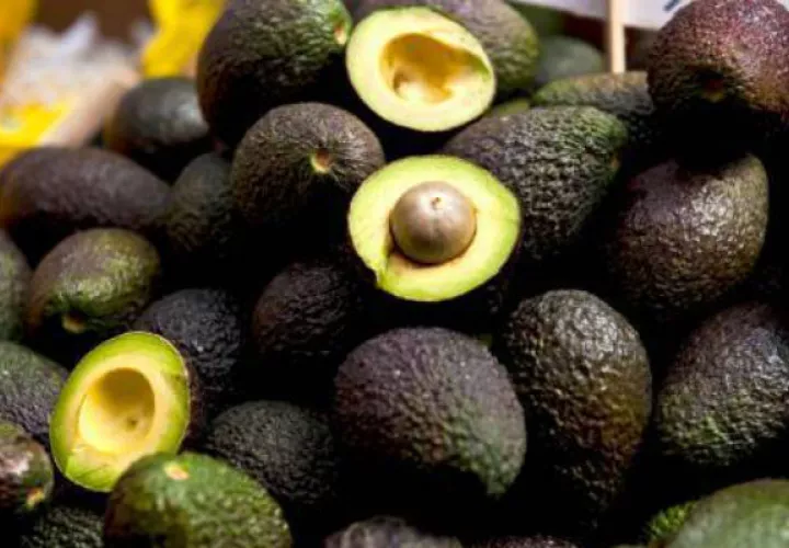 Estados Unidos, en riesgo de quedarse sin aguacates si Donald Trump levanta el muro
