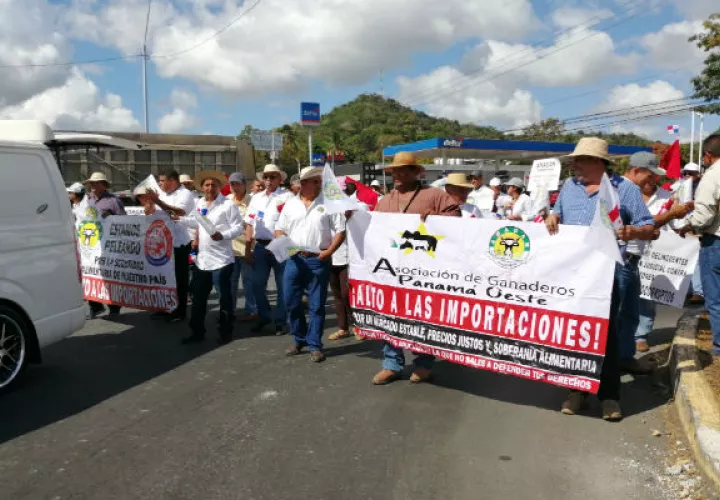 La marcha fue pacífica. Foto: Eric A. Montenegro.