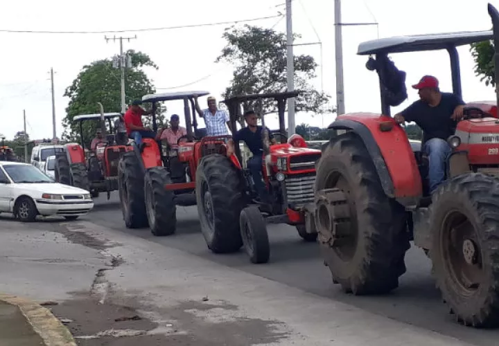 Los productores de arroz viajan en los tractores y camiones hasta la ciudad de David, en la provincia de Chiriquí. 