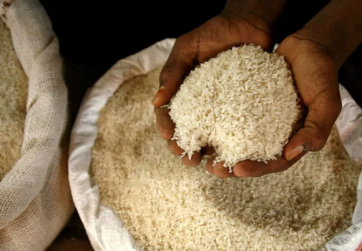  El costo de producción de arroz de un quintal tiene un costo aproximado de 23 dólares. 