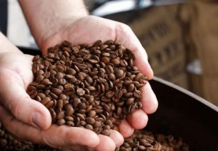 El calentamiento global supone "una amenaza bastante fuerte" para el café. Foto/EFE